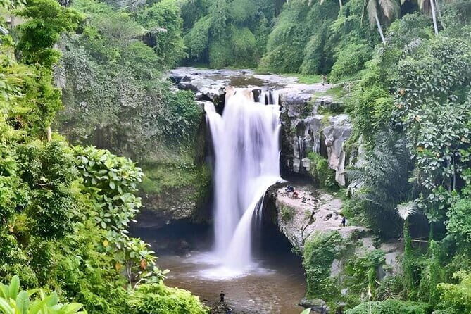 6 Hour Private Tour in Ubud - Key Points