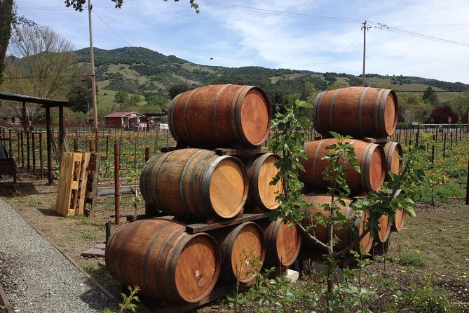 6-Hour Private Wine Country Tour of Napa in Crossover SUV (up to 6 people) - Authentic Experiences and Real Guest Insights