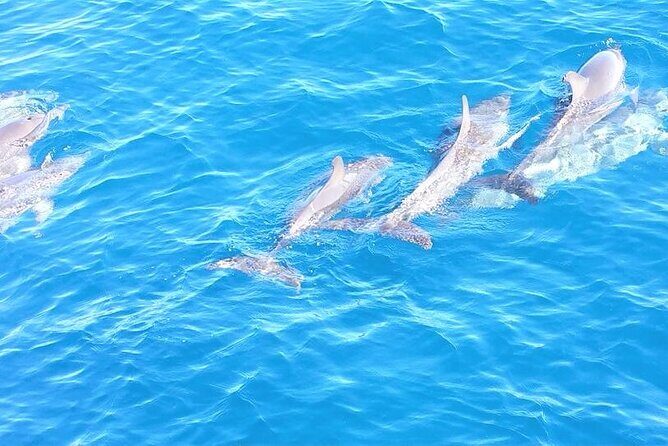 6-Hour Sailing Charter from Fort Lauderdale - FAQ