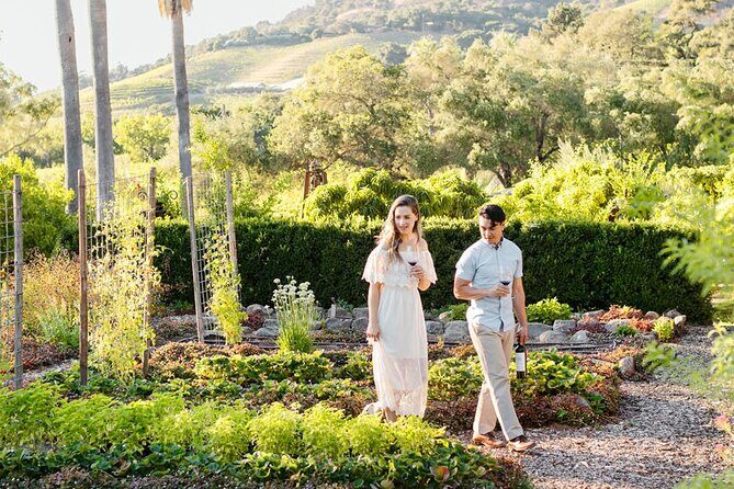 6 Hour Sonoma Boutique Wine Tour-Private Black Car,up to 6 Guests - An In-Depth Look at the Sonoma Boutique Wine Tour