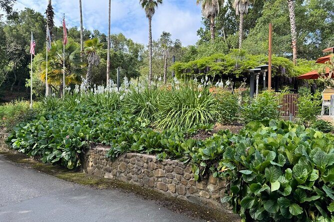 6 Hour Sonoma Boutique Wine Tour-Private Black Car,up to 6 Guests - Who Would Enjoy This Tour?