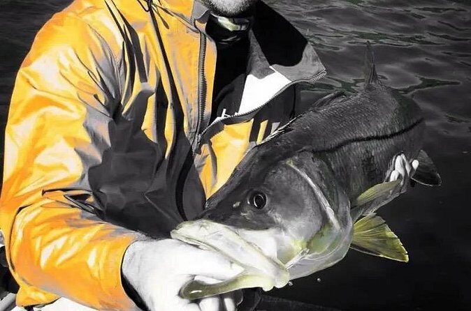 6 Hour Tarpon Springs, Florida Fishing Charter - FAQs