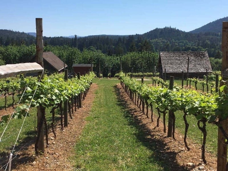 6-Hour Victoria to Cowichan Wine Tour - An Introduction to the Victoria to Cowichan Wine Tour