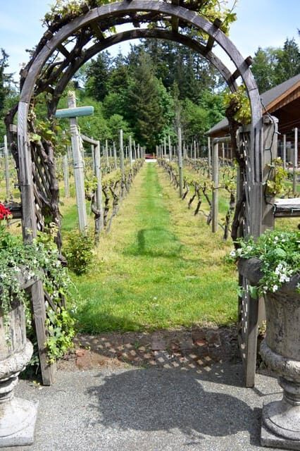 6-Hour Victoria to Cowichan Wine Tour - FAQ