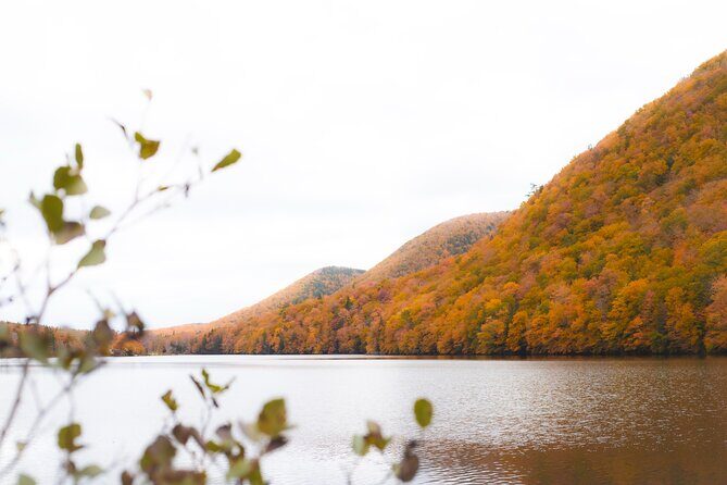 6 Hours Cabot Trail, Keltic Lodge and Ingonish Sights Tour - The Sum Up