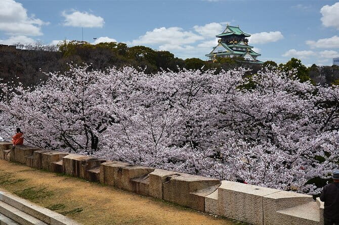 6 Hours Osaka Tour with National Licensed Guide - An In-Depth Look at the 6-Hour Osaka Tour