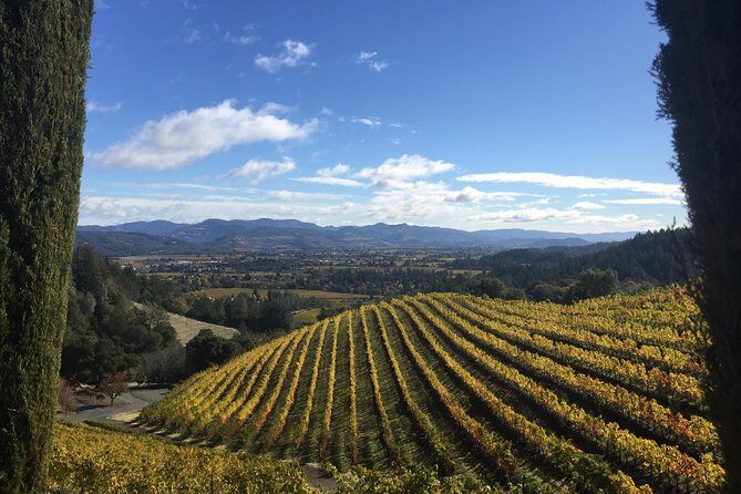 6-Hours Private Napa Wine Tour in a MKT sedan ( 2 Passengers) - Price and Value