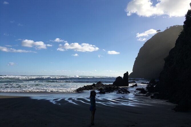 6 Hours Sightseeing Tour in Auckland - The Sum Up