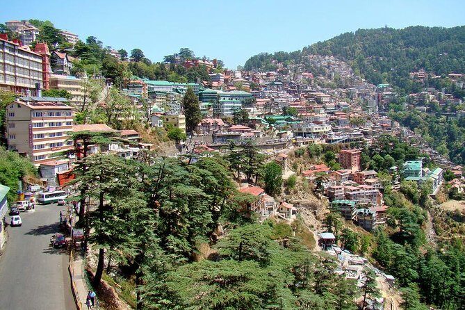 6-Night Private Himachal Pradesh Tour from New Delhi - Why This Tour Offers Great Value