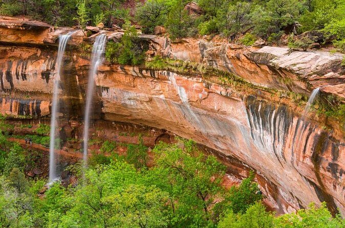 6 Night Yellowstone, Zion, and Bryce Vacation with lodging - FAQ