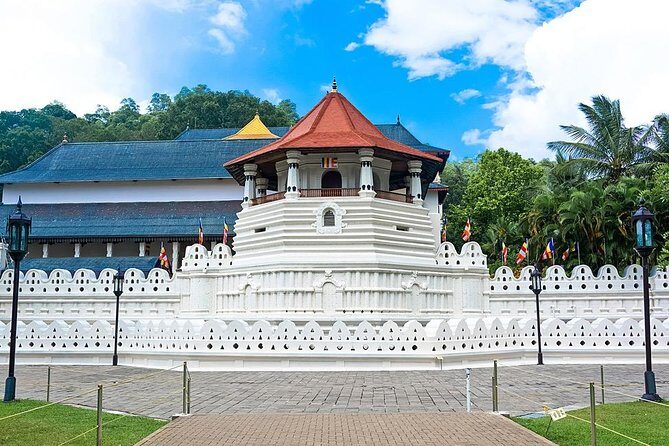 6 Nights 7 Days Srilanka Classic Tour Package with Breakfast & Dinner - A Detailed Look at the Tour Experience