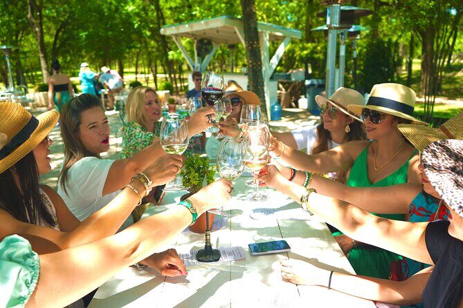 6 to 11 Guests Fredericksburg Private Van 5 hour Wine Tour - Exploring the Fredericksburg Private Wine Tour in Detail