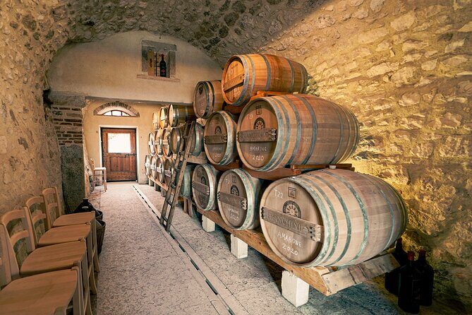 6 Wine Tasting in Valpolicella Classica: the cradle of Amarone - Who Will Love This Tour?