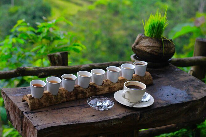 6h Private Tour in Ubud: Rice Terrace Swing, Temple, Waterfall - FAQ