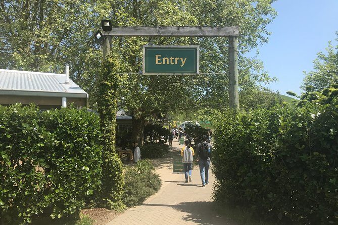 6hr Hobbiton Movie Set Tour - Departs Tauranga - A Complete Guide to the Hobbiton Tour from Tauranga