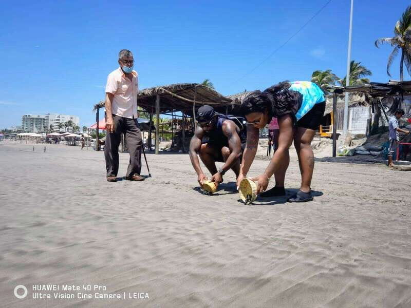 .6Hr Tour Diving Show Baby Turtle Release & All Attractions - Evaluating the Value