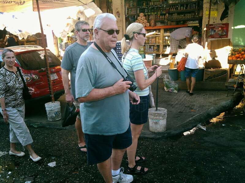 .6Hr Tour Diving Show Baby Turtle Release & All Attractions - Who Will Love This Tour?