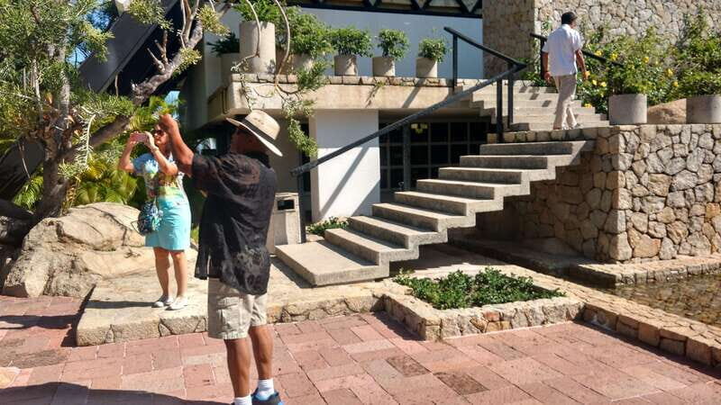 .6Hr Tour Diving Show Baby Turtle Release & All Attractions - The Sum Up