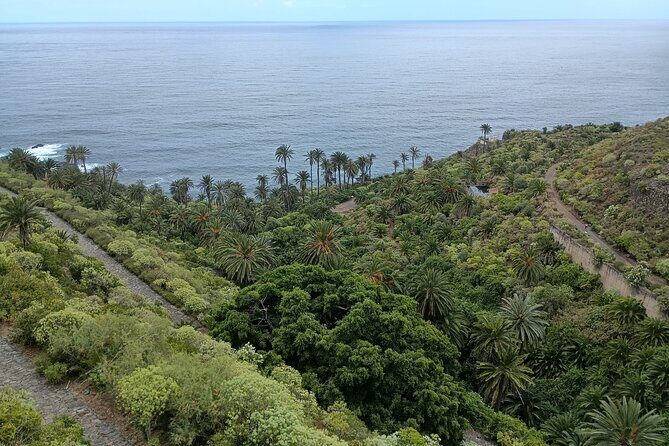 6hrs Private Tour in North Coast of Tenerife - Customer Feedback Summary