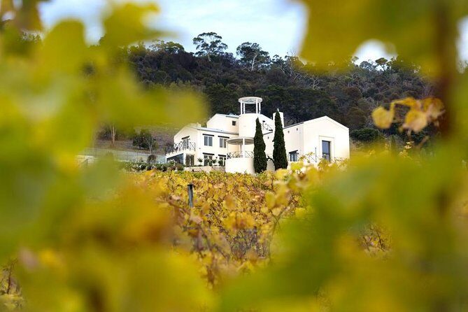 7- 8 Hour StelaVino Guided Wine Tours From Hobart, Tasmania - A Detailed Look at the Tour Experience