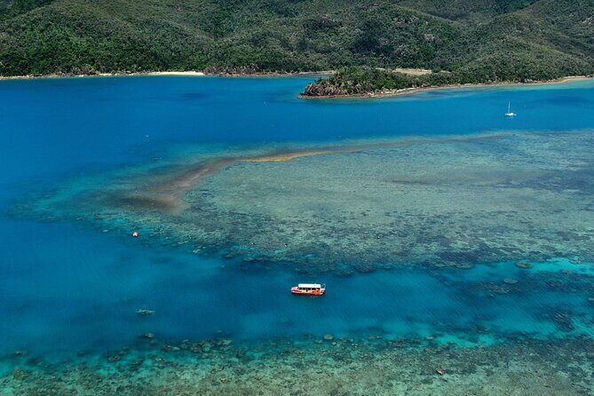 7 Day Brisbane to Cairns Boutique Whitsundays Great Barrier Reef - Day 5: Rainforests and Wildlife in Atherton Tablelands