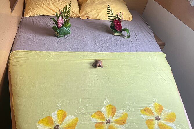 7 Day Catamaran Cruise - Explore the Leeward Islands - Who This Tour Is Perfect For