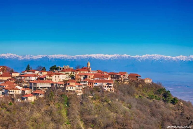 7-Day Georgia Tour with Wine, Mountains, Canyons & Meals - Key Points