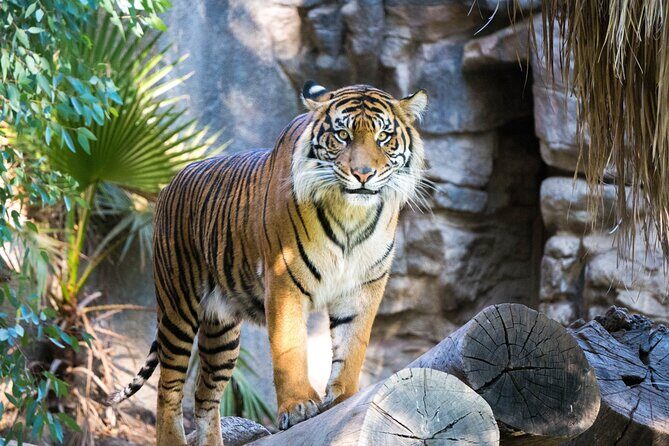 7 Day Golden Triangle Tour with Wildlife-Taj Mahal Tigers & Birds - Why We Think This Tour Works