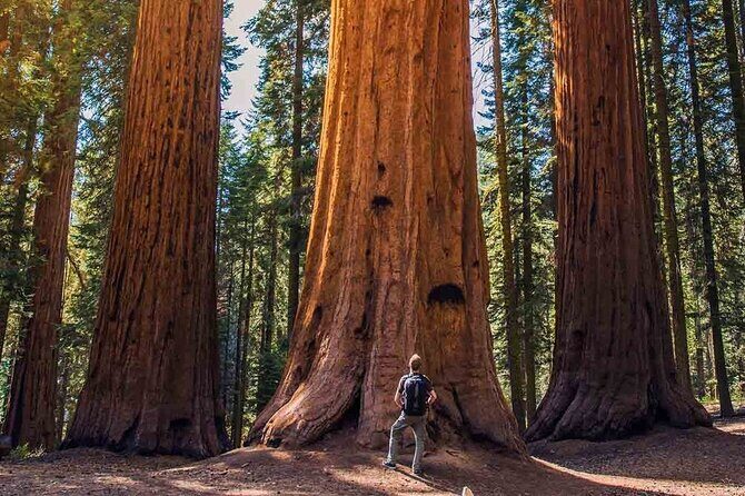 7 Day Guided Small Group Tour On Vancouver Islands West Coast - FAQ