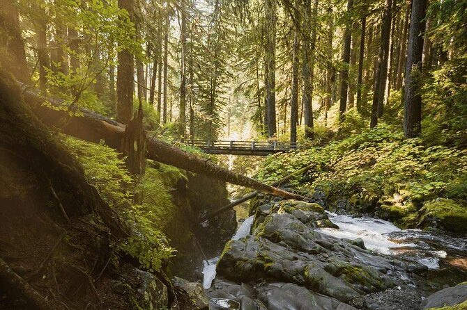 7 Day Guided Small Group Tour On Vancouver Islands West Coast - Wrapping It Up: Is This Tour for You?