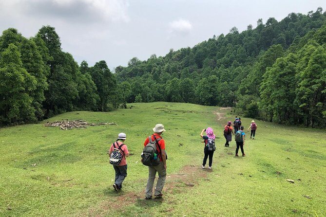 7-Day Kathmandu, Pokhara Tour with Hike to Australian Camp - The Journey in Detail