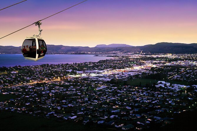 7 - Day North to South Island Grand Tour - Auckland to Queenstown - Marine Encounters and Wine Tasting