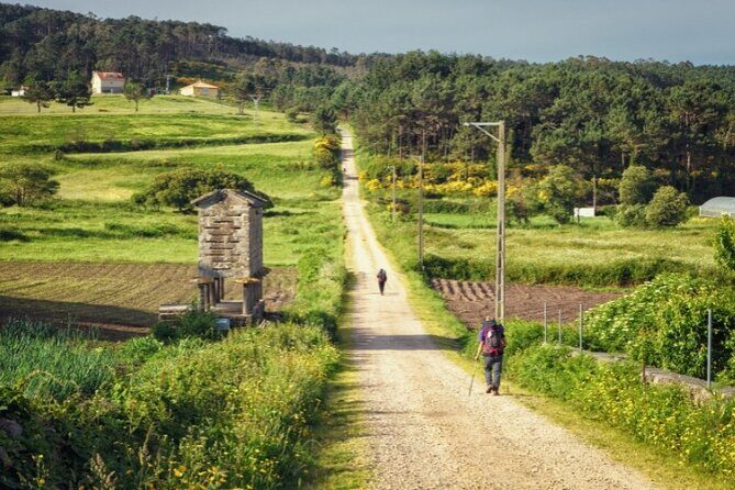 7-Day Portuguese Camino de Santiago Tour from Tui - A Closer Look at the Itinerary