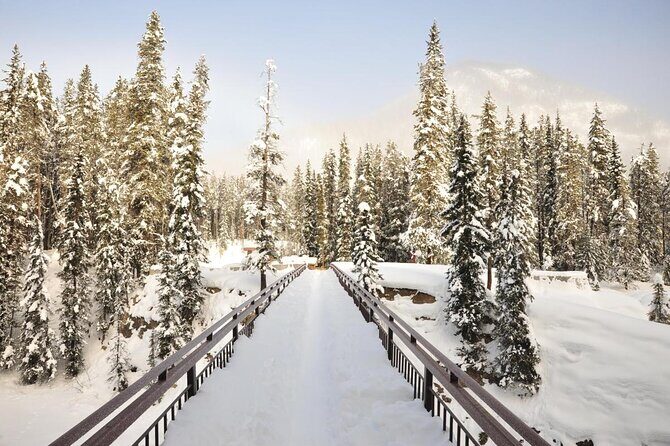 7-Day Small Group Tour: Canadian Rockies and National Parks - Key Points