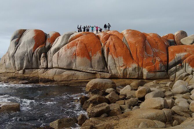 7-Day Super Value Tour of Tasmania: Explore Tasmania's West and East Coasts - A Deep Dive Into the Tour Experience