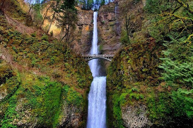 7-day Tour from Vancouver to Seattle&San Francisco by Train&Land - The Value of This Tour