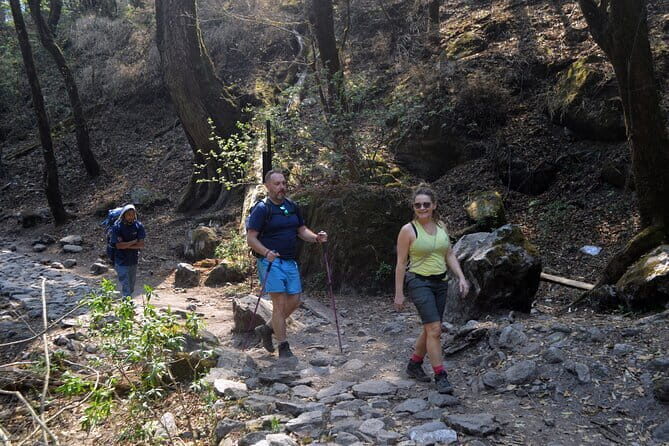7 Day Trekking Tour from Kathmandu to Langtang Valley - A Balanced Look at the 7-Day Trekking Tour from Kathmandu to Langtang Valley