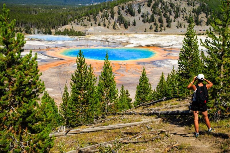 7-Day Yellowstone National Park Rocky Mountain Explorer - The Bottom Line: Who Is This Tour Best For?