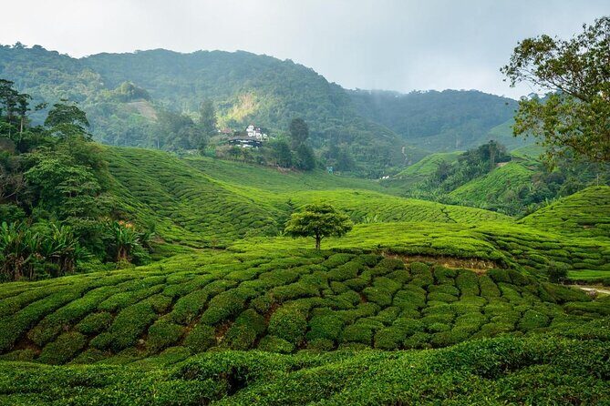 7-Days Best of Malaysia - Key Points
