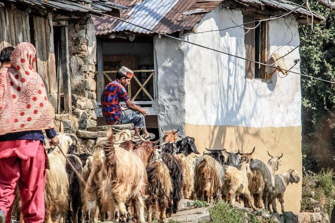 7 Days Dharamsala - Dalai Lama home Trek - Why This Trek Stands Out
