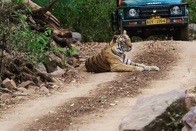 7 Days Golden Triangle Tour & Ranthambore Tiger Safari - Frequently Asked Questions