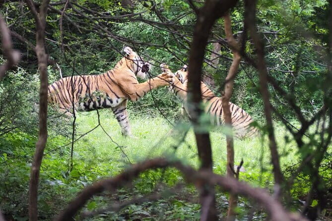 7 Days Golden Triangle Tour with Ranthambore Delhi Agra & Jaipur - An In-Depth Look at the 7-Day Golden Triangle Tour