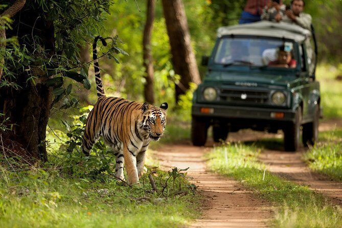 7 Days Golden Triangle Tour with Ranthambore: Delhi Agra Jaipur - Who Is This Tour Best For?