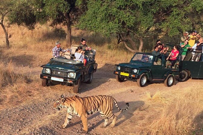 7-Days Golden Triangle with Ranthambore National park tour - A Close Look at the Itinerary