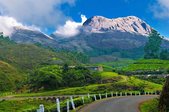 7-Days Kerala Luxury Tour from Cochin - Who Should Consider This Tour?