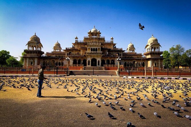 7 - Days Private Luxury Golden Triangle Tour with Oberoi Hotels - Transportation and Comfort