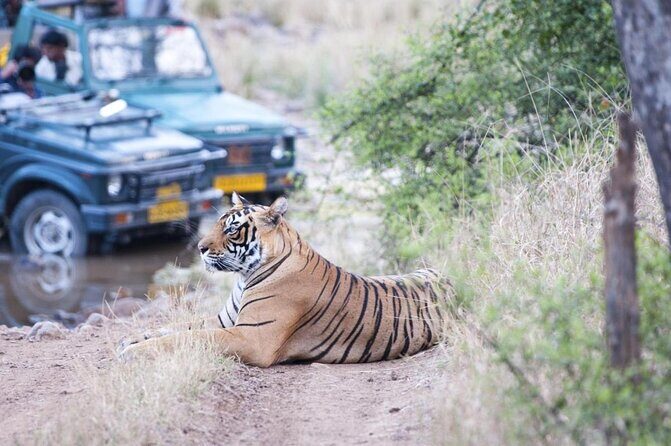 7-Days Private Luxury Golden Triangle Tour With Ranthambore - Key Points