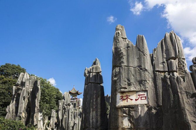 7-Days tour from Kunming to Shangri-La and overnight in Tiger Leaping Gorge - An In-Depth Look at the Tour Experience