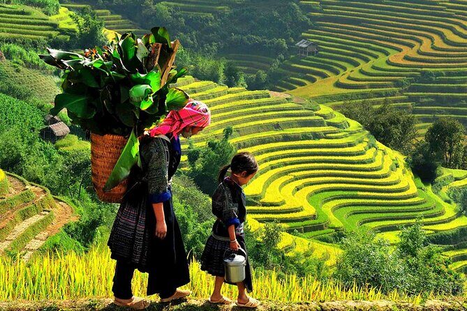 7 Days Vietnam Travel (Hanoi- Ninh Binh - Sapa - Ha Long) - FAQs