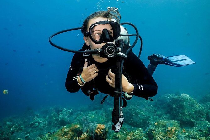 7 Fun Dives in Nusa Lembongan (for certified divers) - Premium Value Package - Authentic Encounters and Hidden Gems